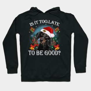 Santa Dachshund Christmas Is It Too Late To Be Good Hoodie